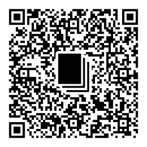 QR_951342